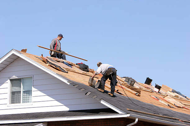 Best Metal Roofing Installation  in Mountain City, TN